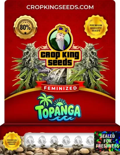 topanga-image