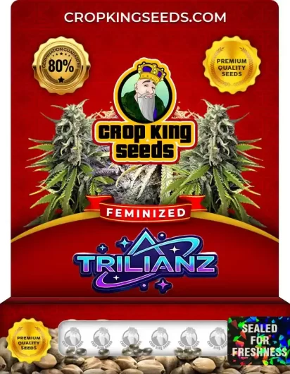 trillianz-image