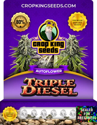 triple-diesel-autoflower-image