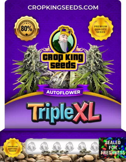 triple-xl-autoflower-image