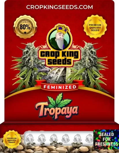 tropaya-image