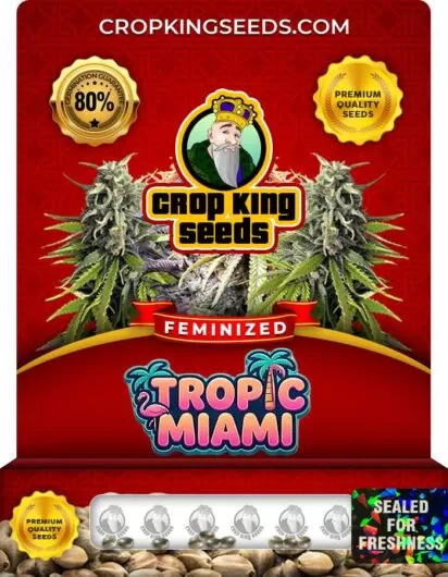 tropic-miami-image
