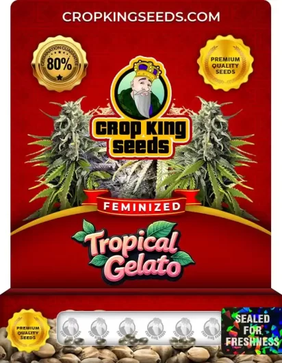 tropical-gelato-image