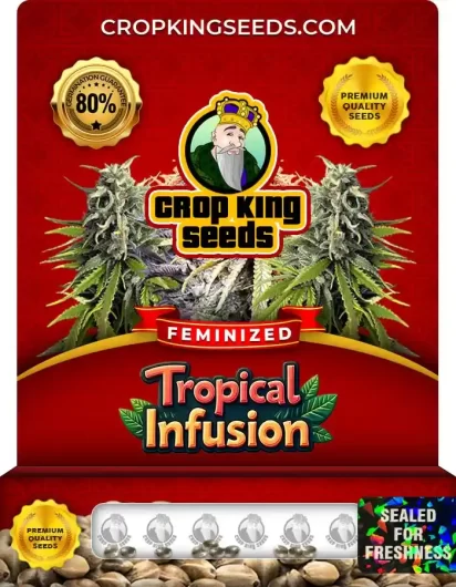 tropical-infusion-image