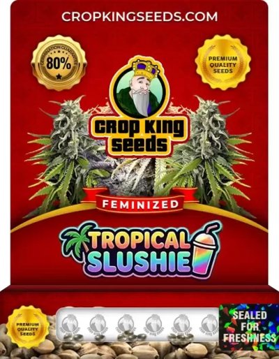 Tropical Slushie