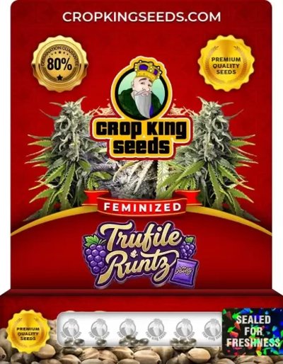 Trufile Runtz