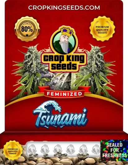 tsunami-image