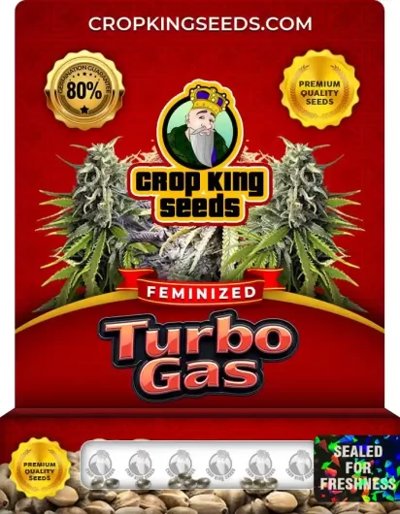 Turbo Gas