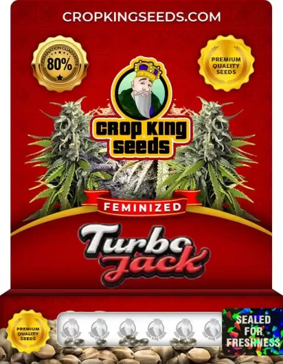 turbo-jack-image
