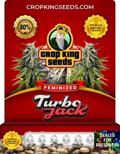 Turbo Jack