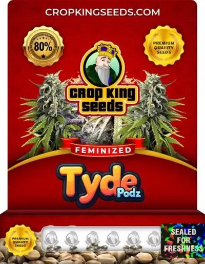 Tyde Podz