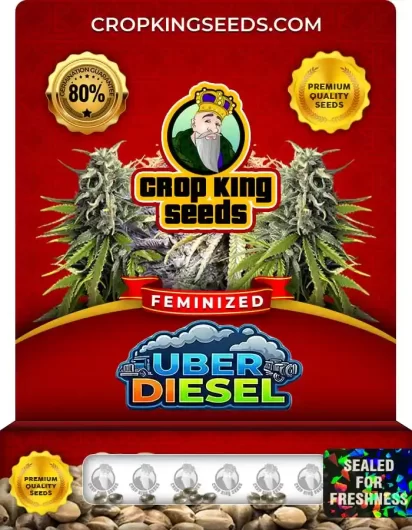 uber-diesel-image
