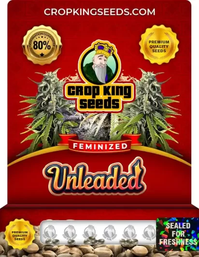 unleaded-image