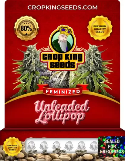 unleaded-lollipop-image