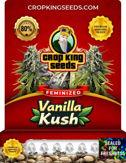 vanilla-kush-image
