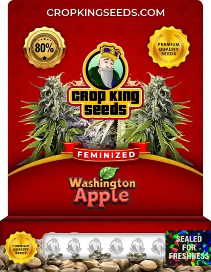 washington-apple-image