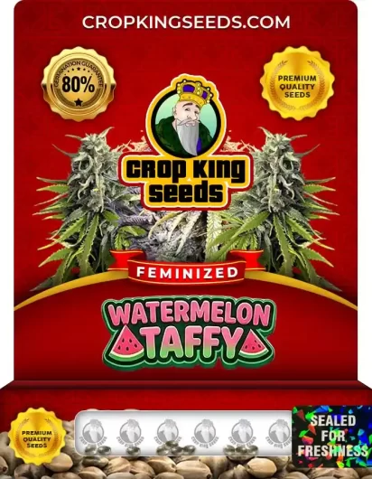 watermelon-taffy-image