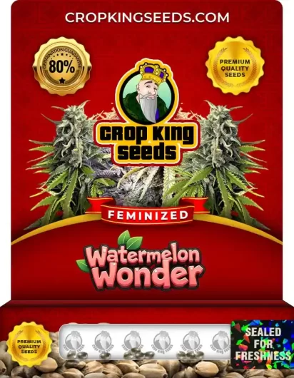 watermelon-wonder-image