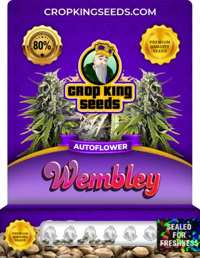 wembley-autoflower-image