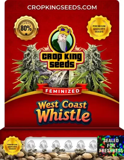 west-coast-whistle-image
