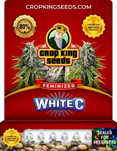 white-c-image