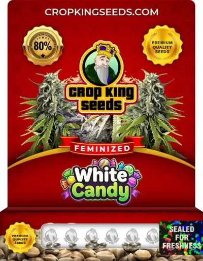 White Candy