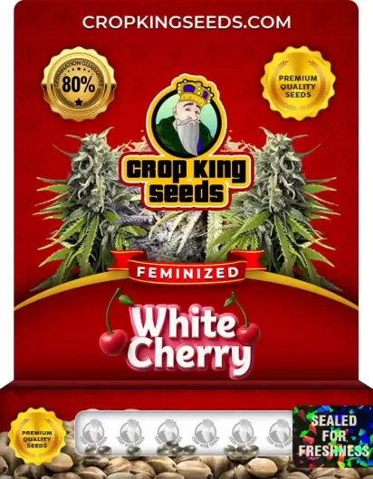 white-cherry-image