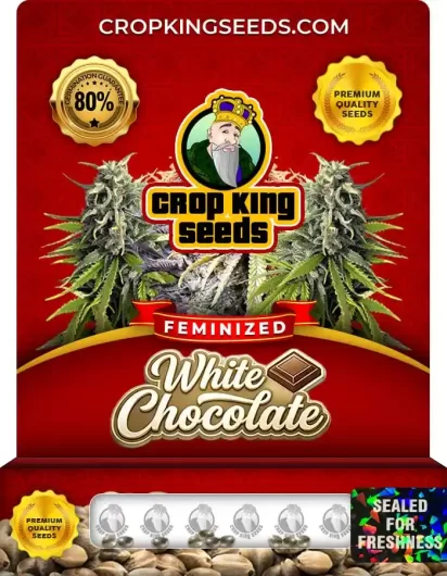 white-chocolate-image