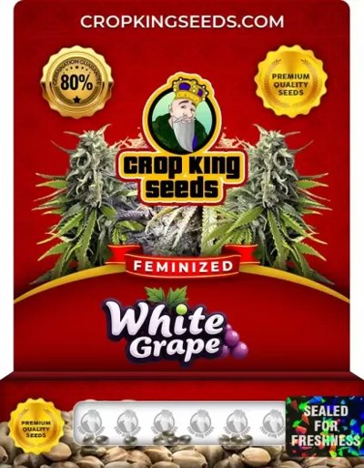 White Grape