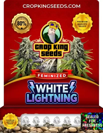 white-lightning-image