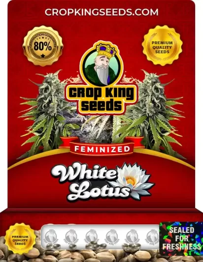 white-lotus-image