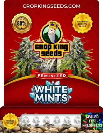 white-mints-image