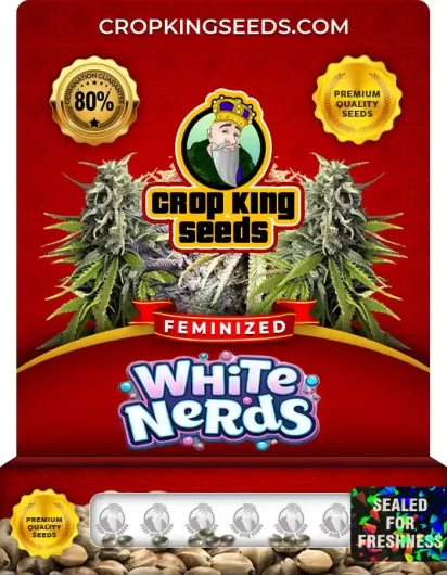 white-nerds-image