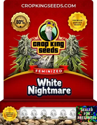 white-nightmare-image