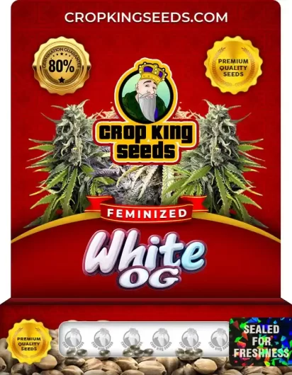 white-og-image
