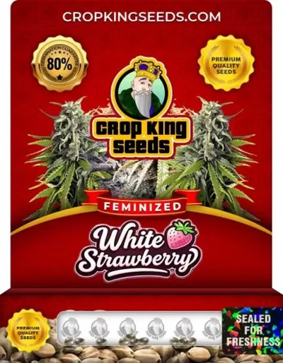 White Strawberry