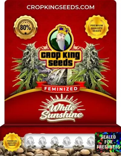 White Sunshine