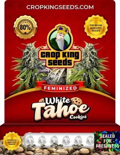 White Tahoe Cookies