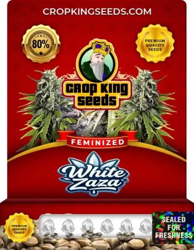 White Zaza