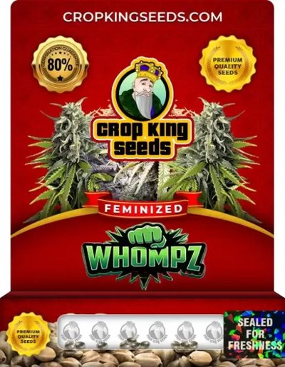 Whompz