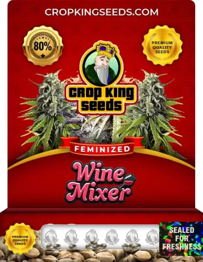 wine-mixer-image