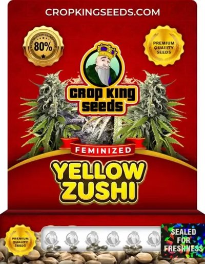 Yellow Zushi