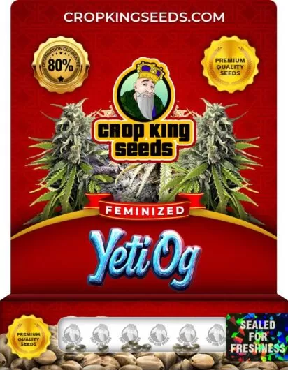 yeti-og-image