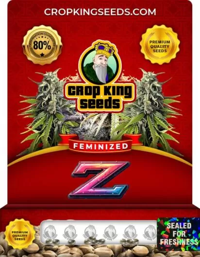 z-image