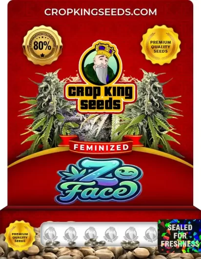 z-face-image
