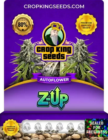 z-up-autoflower-image
