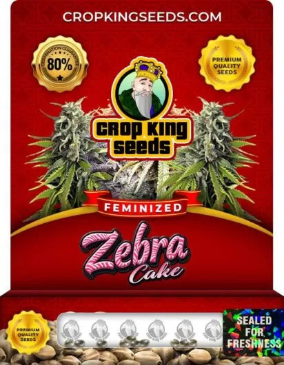 zebra-cake-image