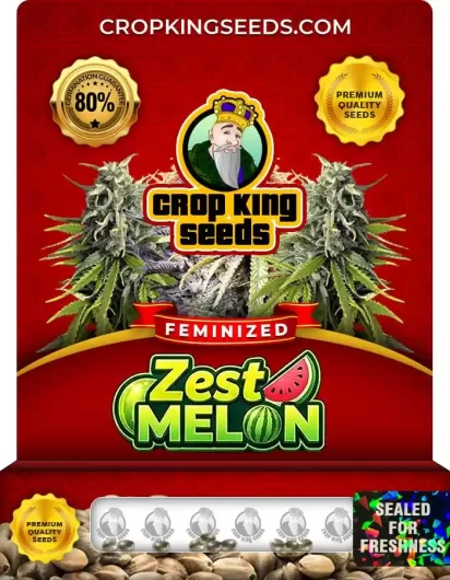 zest-melon-image