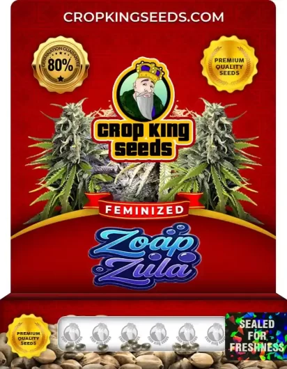 zoap-zula-image