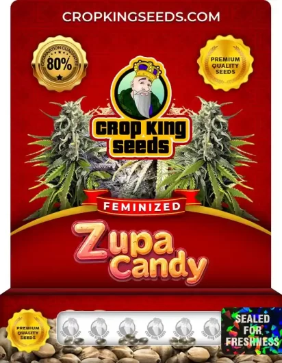 zupa-candy-image